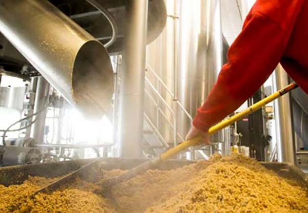 紅薯渣烘干機(jī)工作現(xiàn)場